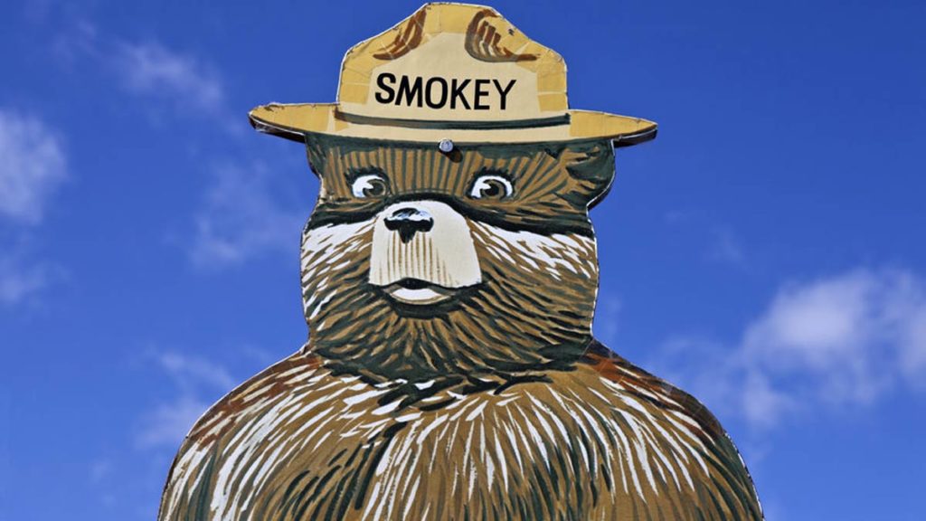 smokey bear still campaigns for fire safety