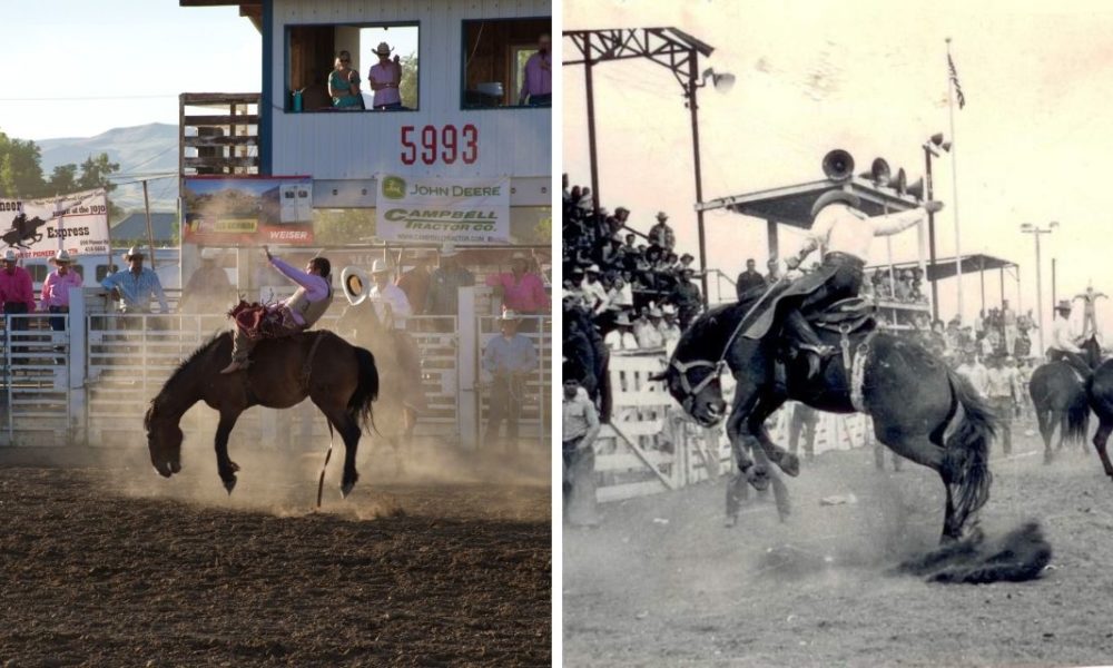 Rodeo Womens Professional Rodeo Association Wpra Cowboy