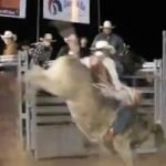 Pro Rodeo Bull Riding at Cliff Castle Casino