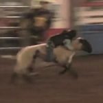 Indian Rodeo