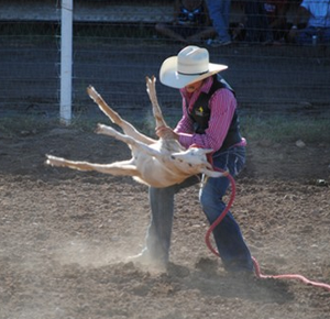 Goat tying is an event becoming common in most junior rodeo. 