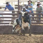 Profesional Rodeo Bull Riding