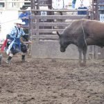 Profesional Rodeo Bull Riding