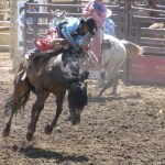 Pro Rodeo Saddle Bronc Riding