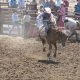 Pro Rodeo Saddle Bronc Riding