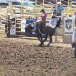Pro Rodeo Saddle Bronc Riding
