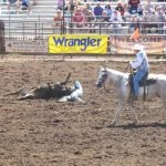 Pro Rodeo Steer Wrestling