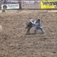 Pro Rodeo Steer Wrestling