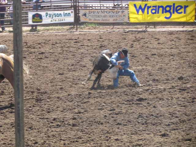 Pro Rodeo Steer Wrestling