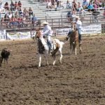 Pro Rodeo Team Roping