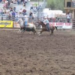 Pro Rodeo Team Roping