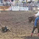 Pro Rodeo Team Roping