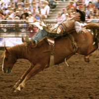Professional Rodeo Cowboys Association (PRCA)