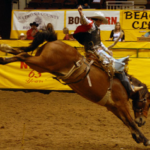 Saddle Bronc Riding