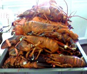 Good Ole Boys' Lobster