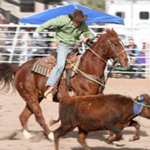 Arizona High School Rodeo Association