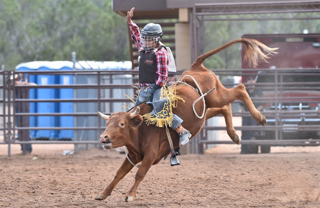 Arizona High School Rodeo Association Finals Bull Riding