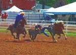 Cheyenne Frontier Days Rodeo Event