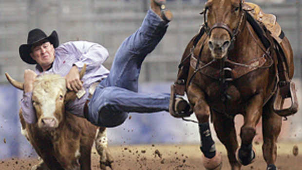 Rodeo Steer Wrestling