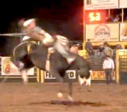 The Navajo County Rodeo 