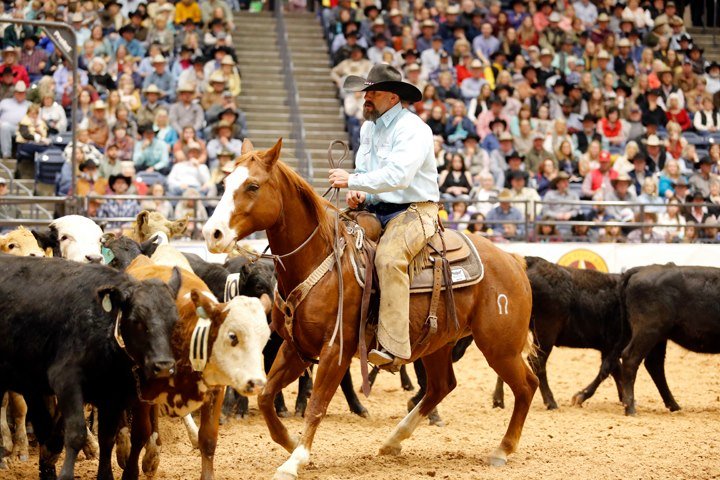 WRCA Working Ranch Cowboys Association - Wow, we're thrilled and