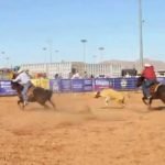 Team Roping Casa Grande AZ Cowboy and Indian Days Rodeo ALL INDIAN RODEO