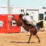 Bronc Riding Casa Grande AZ Cowboy and Indian Days Rodeo ALL INDIAN RODEO