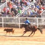 Calf Roping Casa Grande AZ Cowboy and Indian Days Rodeo ALL INDIAN RODEO