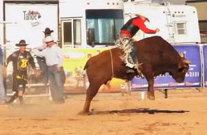 Bull Riding Casa Grande AZ Cowboy and Indian Days Rodeo