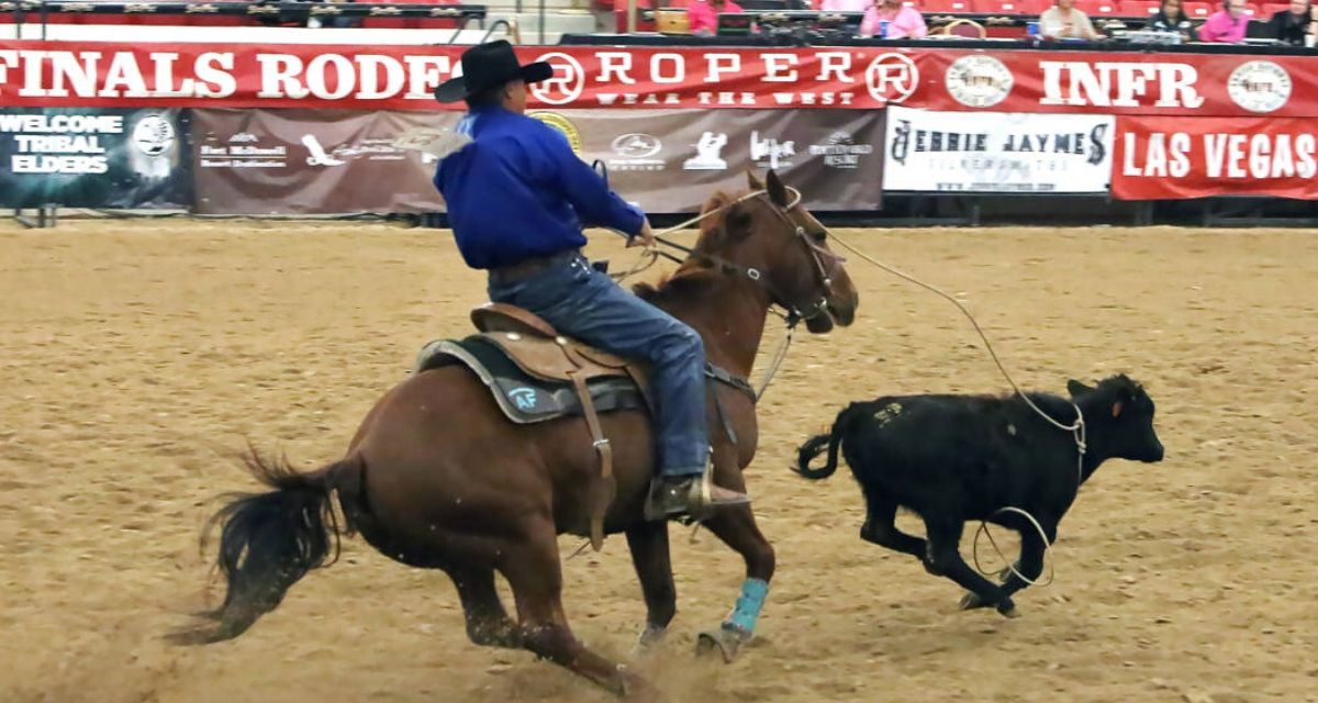 Rodeo 101 All Indian Rodeo Cowboys Association (AIRCA) Cowboy