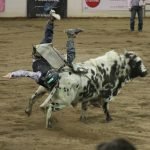 Parada del Sol Pro Rodeo and Historic Parade, PRCA Pro Rodeo, Coors Banquet, Desert Autoplex, Westworld