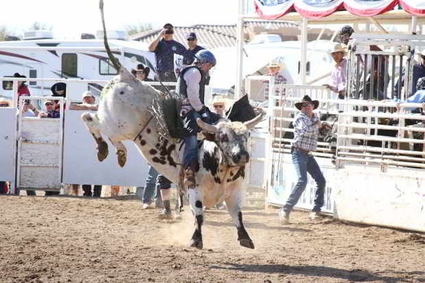 PRCA Bull Rider at the Cave Creek Fiesta Days Rodeo 2013 celebration. Cave Creek has three full Pro Rodeo Cowboys Association performances at the celebration.