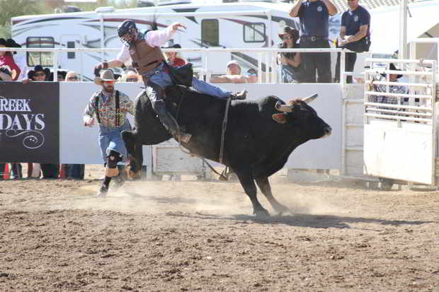PRCA Bull Rider at the Cave Creek Fiesta Days Rodeo 2013 celebration. Cave Creek has three full Pro Rodeo Cowboys Association performances at the celebration.