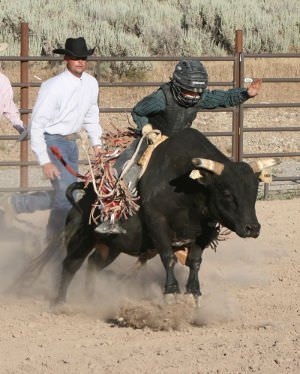 Cowboy Athletes