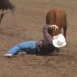 Steer wrestling at PRCA Payson Spring Rodeo 2013 in Payson, AZ