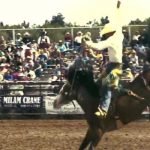 Everything from bronc riding to tie down, PRCA Gary Hardt Memorial Rodeo 2013 in Payson, AZ