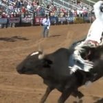 Bull Riding at PRCA Gary Hardt Memorial Rodeo 2013 in Payson, AZ