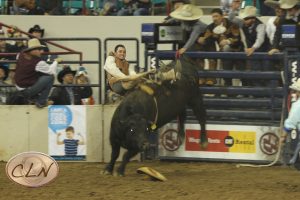 Mexican Style BullRiding