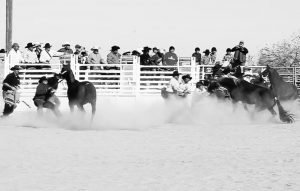 Wild Horse Race_Ak-Chin