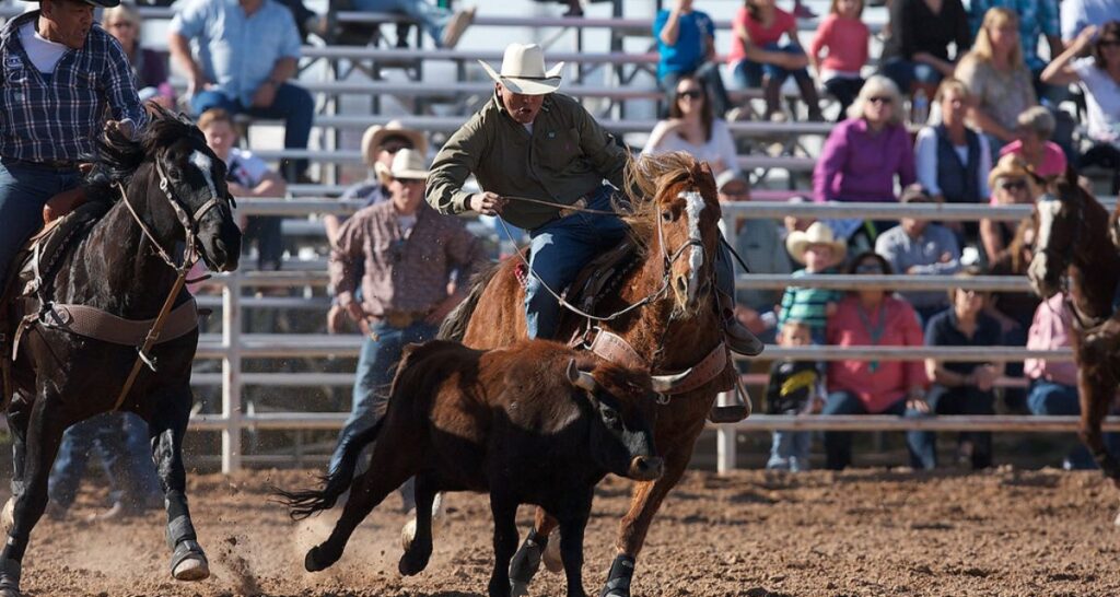 Credit: Yuma Silver Spur Rodeo