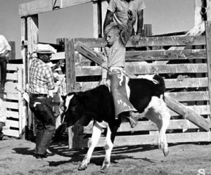 Hal Earnhardt riding a calf as a young cowboy 