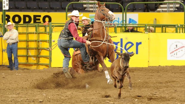 66th-College-Finals-Rodeo-2014-Marty-Yates-CLN-(FI)