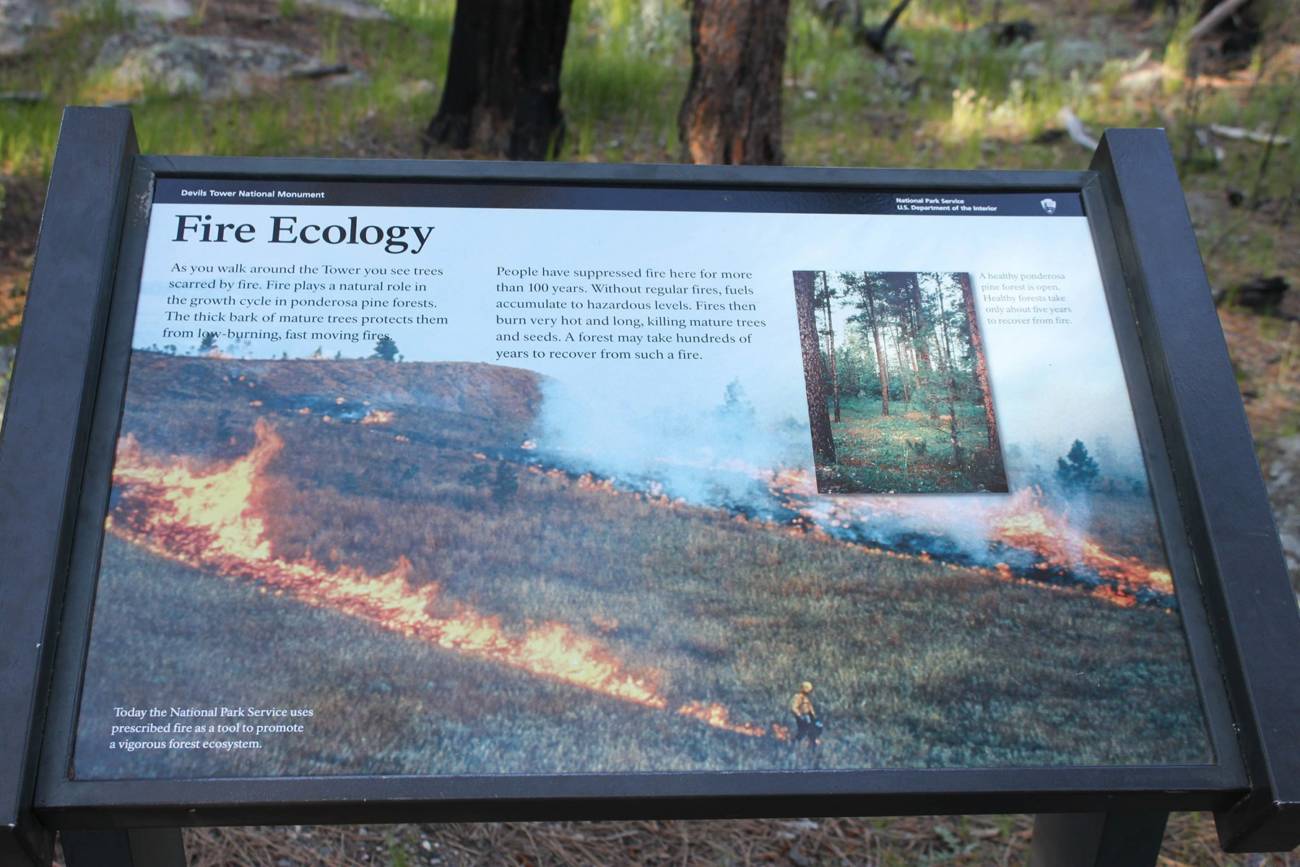 Fire-Ecology-Devils-Tower-Sign
