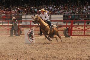 Sherry-Cervi.Cheyenne Frontier Days Rodeo 2014
