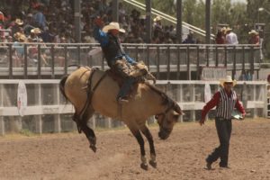 Taos-muncy.Cheyenne Frontier Days Rodeo 2014