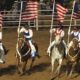 Taylor-Arizona-4th-of-July-Rodeo-2014-(FI)