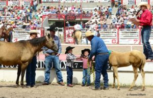 Blondie, Macie and the Schneiderman family of Lennox, South Dakota, shown receiving the 2014 Cheyenne Frontier Days Dinner Bell Derby Championship awards