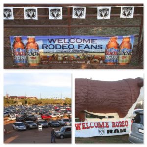 Welcome Rodeo Fans (Payson Rodeo 2014) Collage