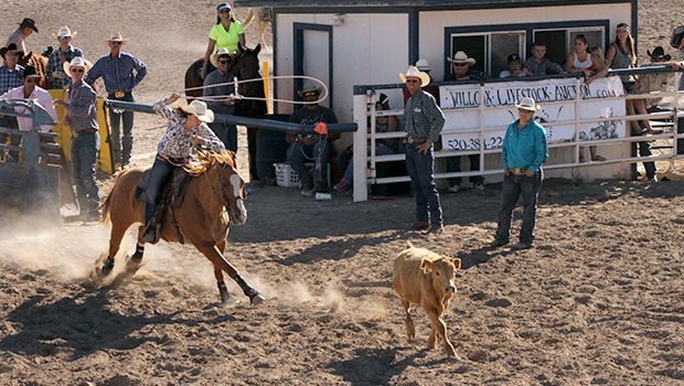 What is Breakaway Roping? - Cowboy Lifestyle Network