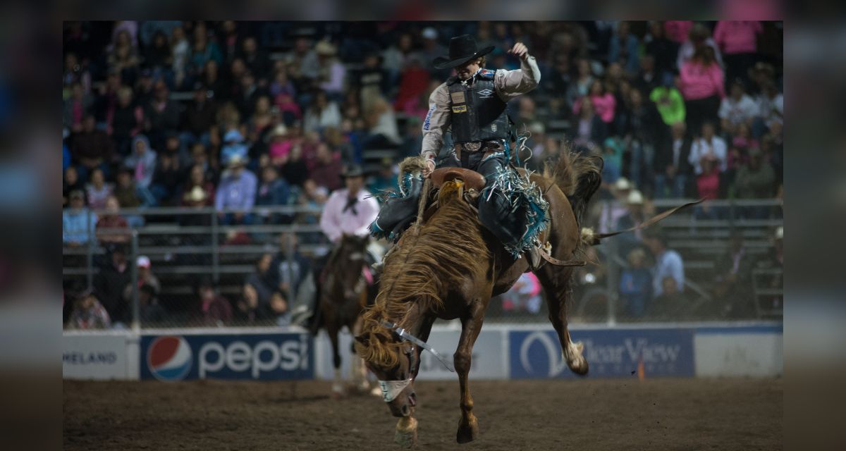 Where to Find YETI at the 2022 Wrangler National Finals Rodeo!